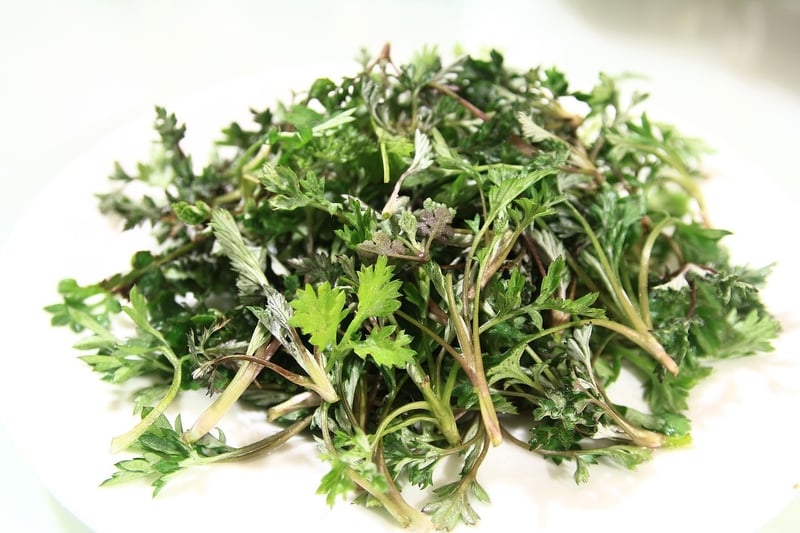 Mugwort